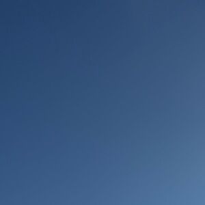 Meet your Posher, Kreena